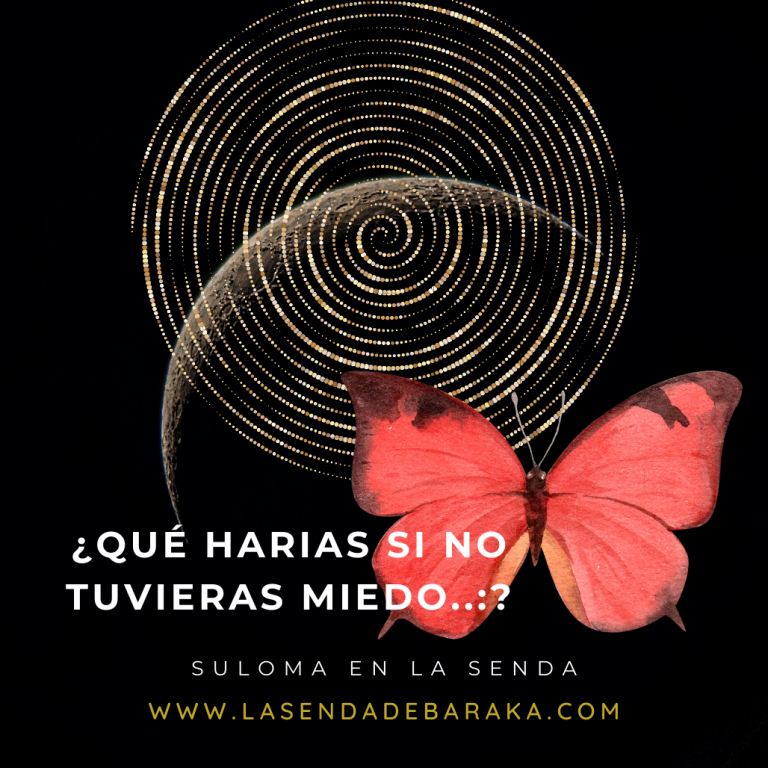 ¿Sí no tuvieras miedo, qué harías? VOLAR y SER